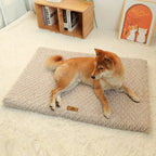 Dog Mat Thick Cushioned Machine-Washable Travel-Ready
