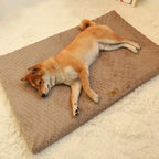 Dog Mat Thick Cushioned Machine-Washable Travel-Ready