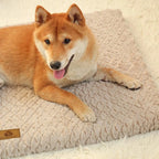 Dog Mat Thick Cushioned Machine-Washable Travel-Ready