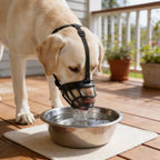 Dog Muzzle Breathable Mesh Adjustable Fit & Soft Edges