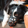 Dog Muzzle Breathable Soft Fabric Adjustable Fit
