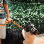 Dog Muzzle Breathable Soft Fabric Adjustable Fit