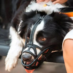 Dog Muzzle Breathable Soft Mesh Adjustable Fit