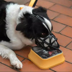 Dog Muzzle Breathable Soft Mesh Adjustable Fit