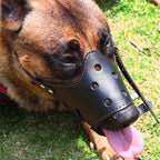 Dog Muzzle Leather Breathable Adjustable Straps