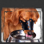 Dog Muzzle Leather Breathable Adjustable Straps