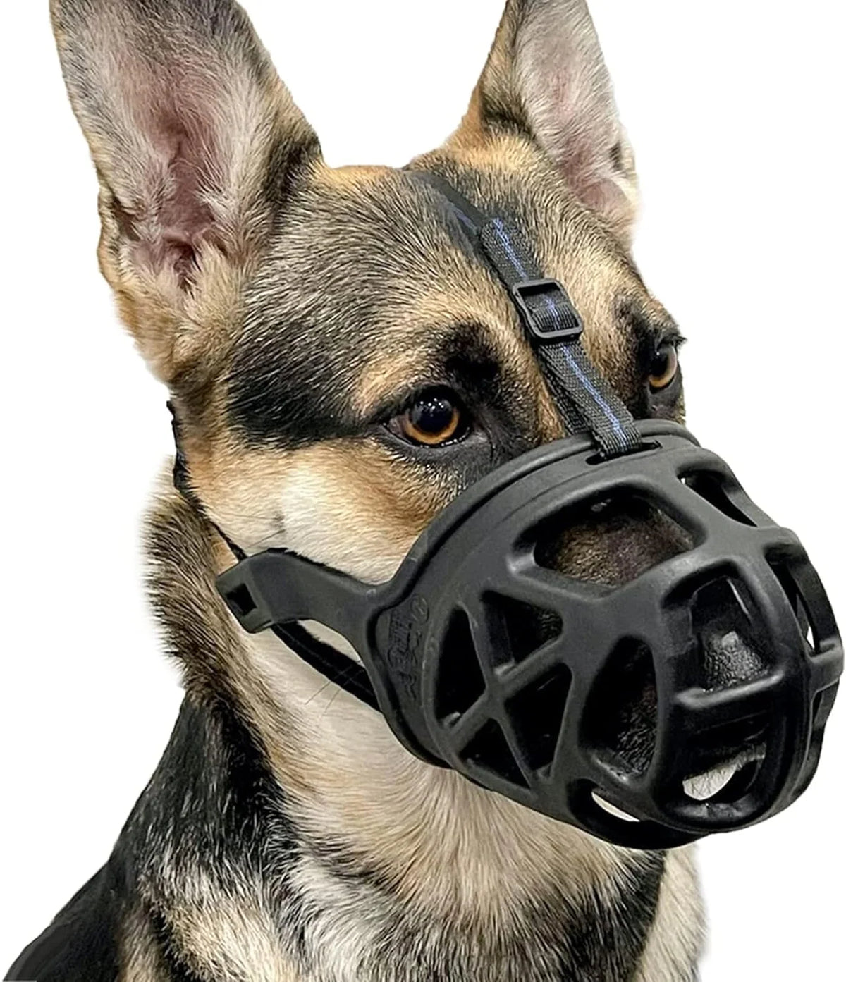Dog Muzzle Open Basket Adjustable Straps