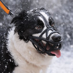 Dog Muzzle Soft Breathable Lightweight Fit