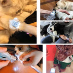 Dog Nail Clipper Integrated Safety Sensor Stainless Steel Blades