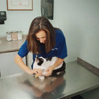 Dog Nail Clipper Integrated Safety Sensor Stainless Steel Blades