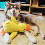 Dog Plush Toy Low-Frequency Quack Reinforced Seams