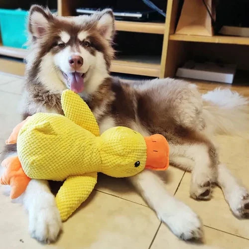 Dog Plush Toy Low-Frequency Quack Reinforced Seams