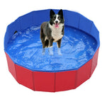 Dog Pool Foldable Instant Setup Claw Resistant PVC