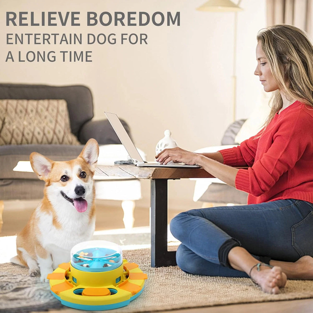 Dog Puzzle Feeder Interactive Slow Feeding Pet-Safe