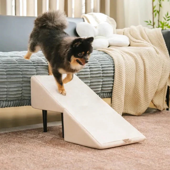 Dog Ramp Convertible Padded Steps & Suction Cups