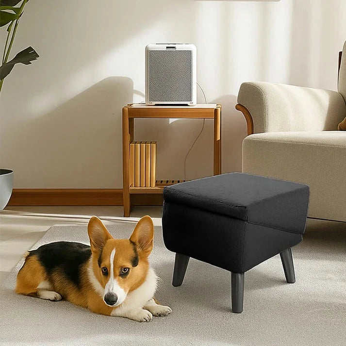 Dog Ramp Convertible Padded Steps & Suction Cups
