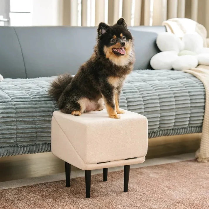 Dog Ramp Convertible Padded Steps & Suction Cups