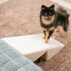 Dog Ramp Convertible Padded Steps & Suction Cups