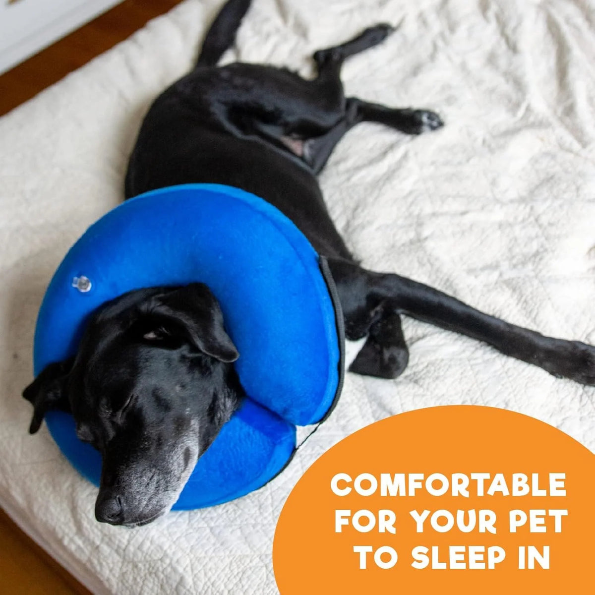 Dog Recovery Collar Inflatable Inner Loop Adjustable Valve