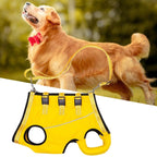 Dog Rehabilitation Harness Adjustable Breathable Mesh Hind Leg Support