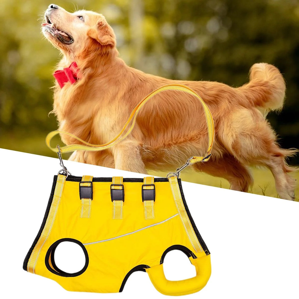 Dog Rehabilitation Harness Adjustable Breathable Mesh Hind Leg Support