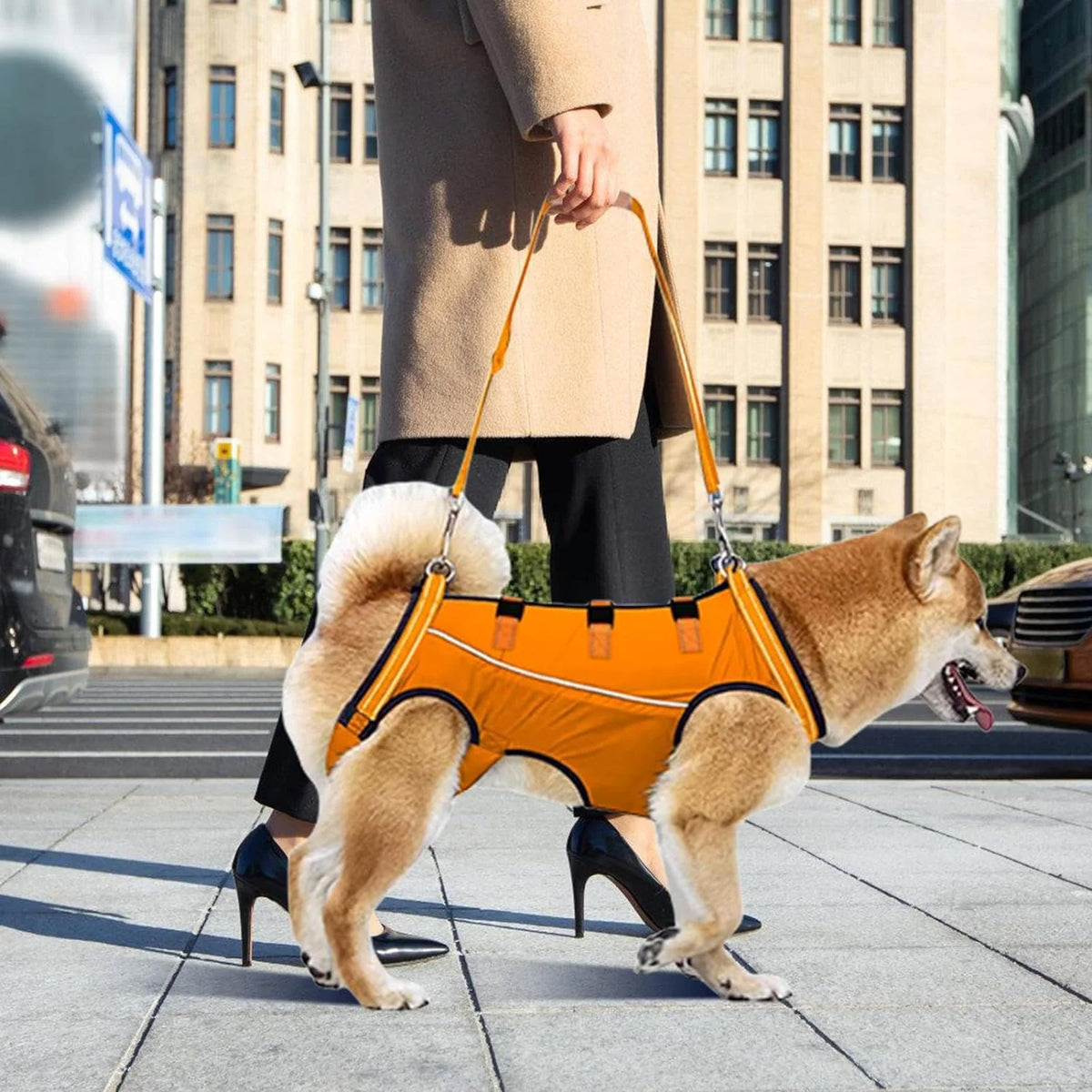 Dog Rehabilitation Harness Adjustable Breathable Mesh Hind Leg Support
