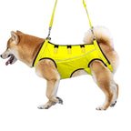 Dog Rehabilitation Harness Adjustable Breathable Mesh Hind Leg Support