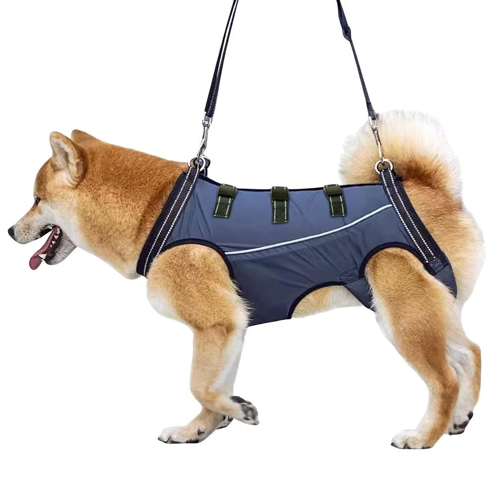 Dog Rehabilitation Harness Adjustable Breathable Mesh Hind Leg Support