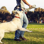 Dog Rope Toy Durable Cotton Dental Care
