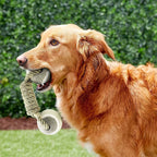 Dog Rope Toy Durable Cotton Dental Care