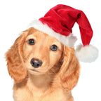 Dog Santa Hat Plush Soft Lining Adjustable Strap