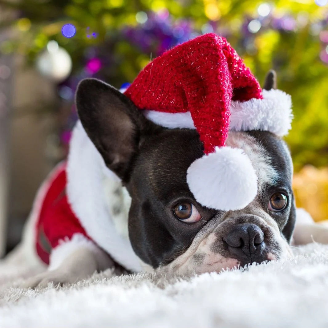 Dog Santa Hat Plush Soft Lining Adjustable Strap