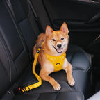 Dog Seatbelt Adjustable Elastic Shock-Absorbing Reflective