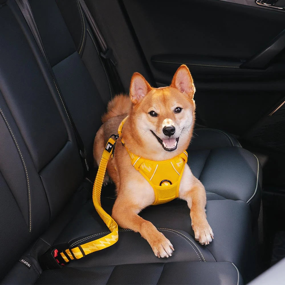Dog Seatbelt Adjustable Elastic Shock-Absorbing Reflective