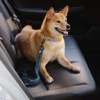 Dog Seatbelt Adjustable Elastic Shock-Absorbing Reflective