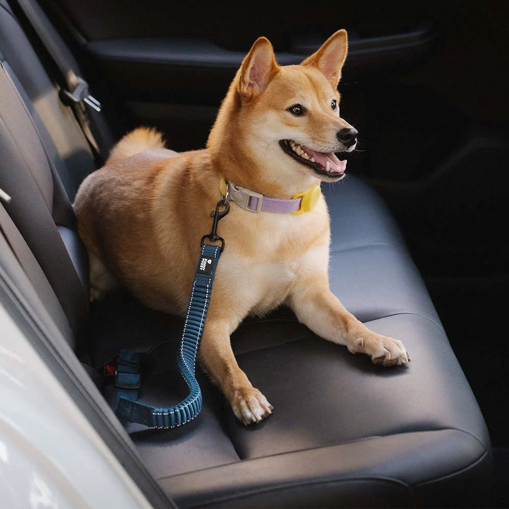 Dog Seatbelt Adjustable Elastic Shock-Absorbing Reflective