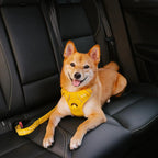 Dog Seatbelt Adjustable Elastic Shock-Absorbing Reflective