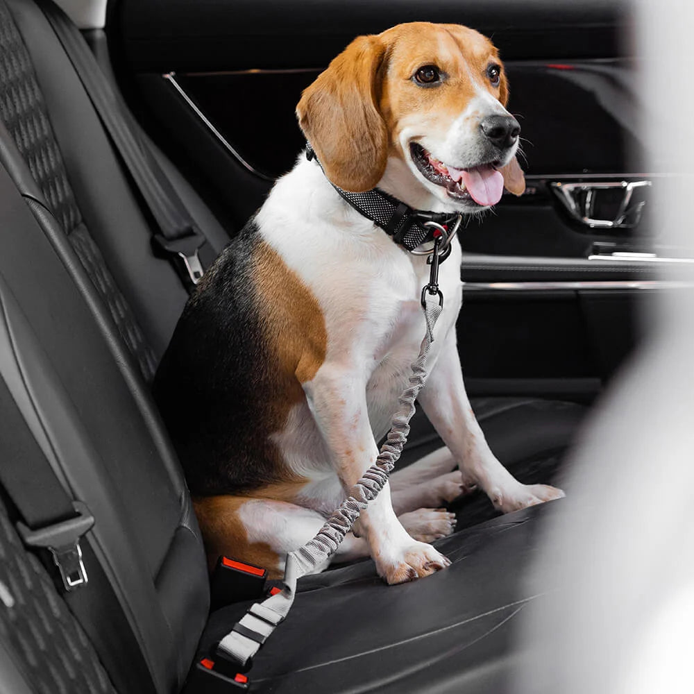 Dog Seatbelt Adjustable Elastic Shock-Absorbing Reflective