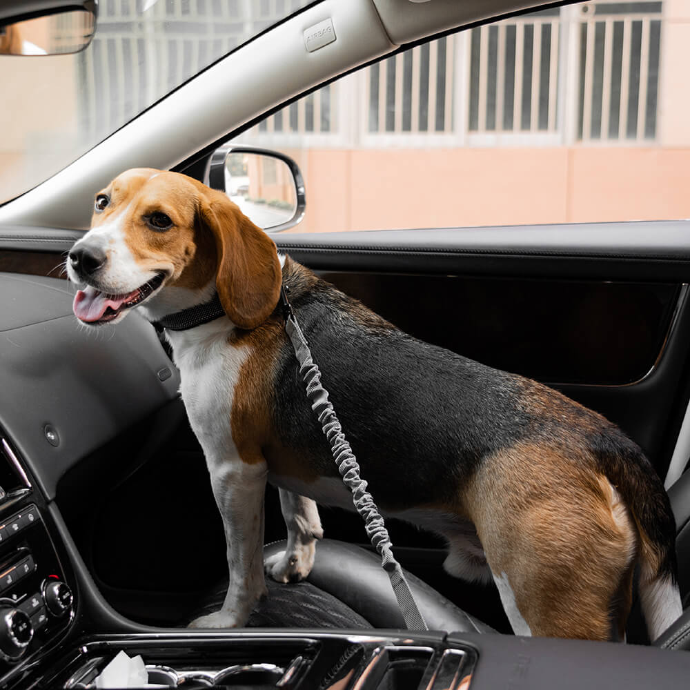 Dog Seatbelt Adjustable Elastic Shock-Absorbing Reflective