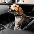 Dog Seatbelt Adjustable Elastic Shock-Absorbing Reflective