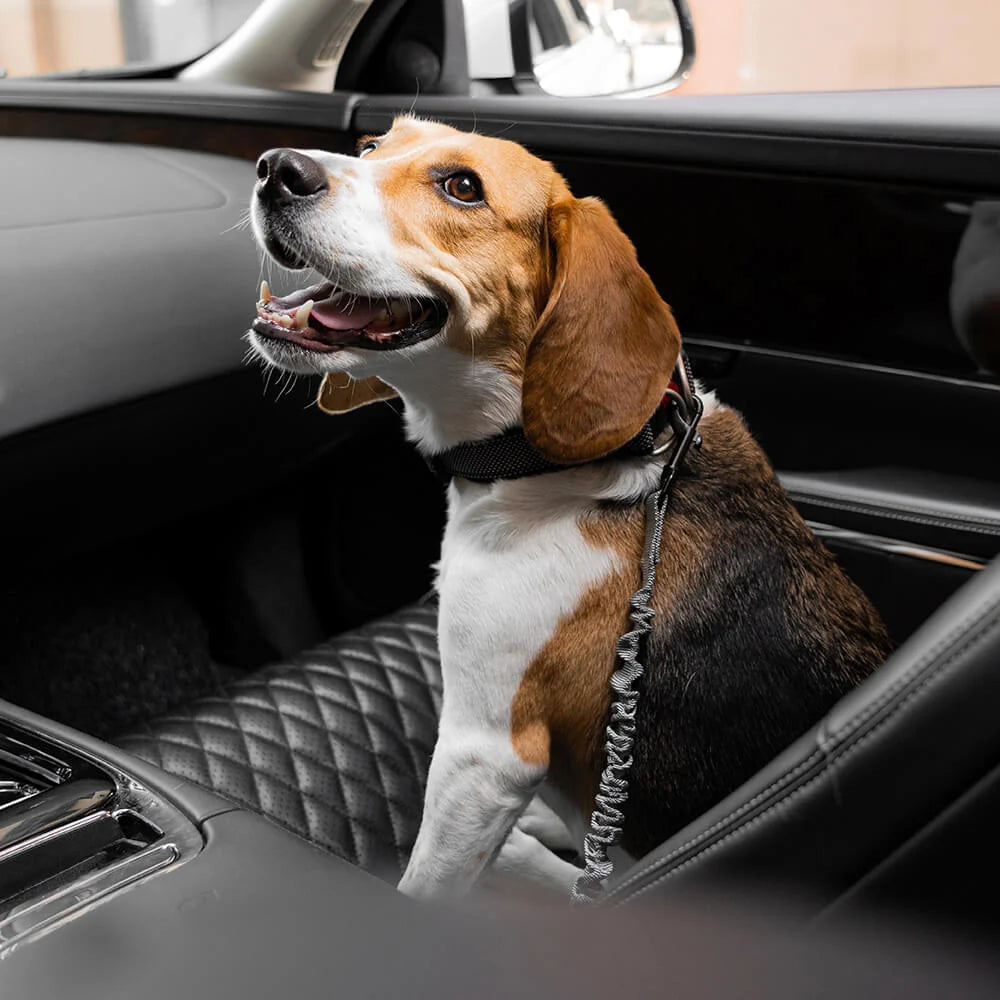 Dog Seatbelt Adjustable Elastic Shock-Absorbing Reflective