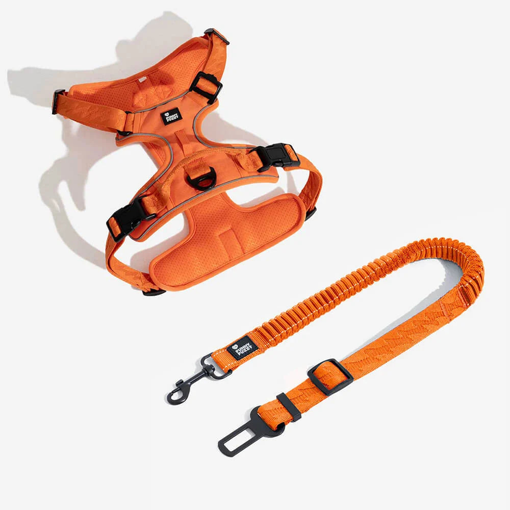 Dog Seatbelt Adjustable Elastic Shock-Absorbing Reflective