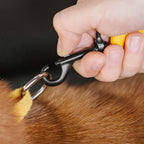Dog Seatbelt Adjustable Elastic Shock-Absorbing Reflective