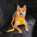 Dog Seatbelt Adjustable Elastic Shock-Absorbing Reflective