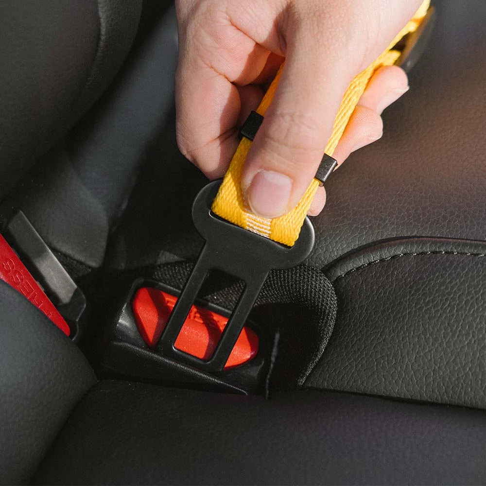 Dog Seatbelt Adjustable Elastic Shock-Absorbing Reflective