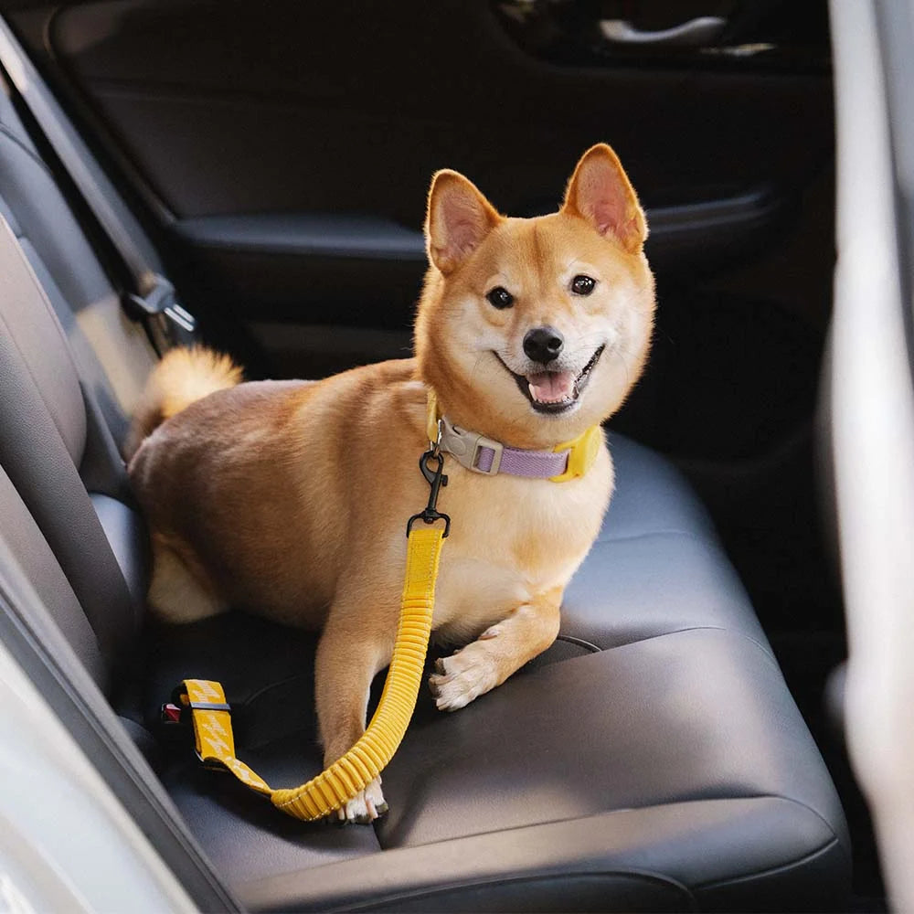 Dog Seatbelt Adjustable Elastic Shock-Absorbing Reflective