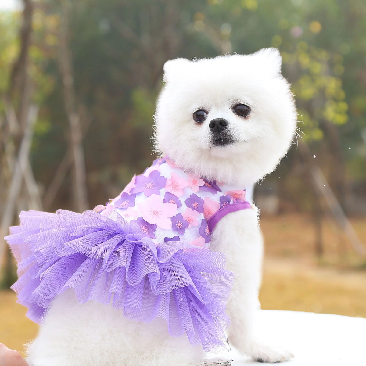 Dog Skirt Cotton Princess Style Comfortable Fit