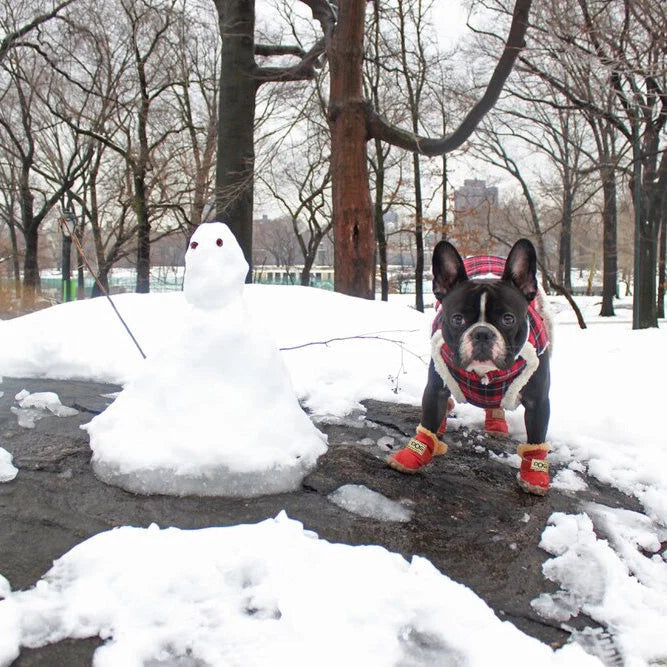 Dog Snow Boots Cotton Lining Non-Slip Sole