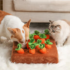 Dog Snuffle Mat Treat-Hiding Removable Base & Washable