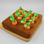 Dog Snuffle Mat Treat-Hiding Removable Base & Washable